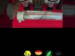 Φωτιστικό φθορισμού αντιεκρηκτικό από ανοξείδωτο χάλυβα T8 Liner Anti-Corrosion Grp, μονόσωληνο