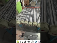 Πραγματικό Βίντεο Παραγωγής: Φωτιστικά Αντιεκρηκτικά για Επικίνδυνες Βιομηχανίες