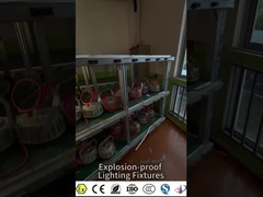 Πιστοποιημένο από την IECEx & ATEX Ασθενές σε έκρηξη φως υψηλής αποβάθρας.