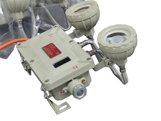 Φωτιστικό Έξοδου Κινδύνου Ανθεκτικό σε Έκρηξη Κατηγορίας I Διαίρεση 2 220V Επιτοίχιο