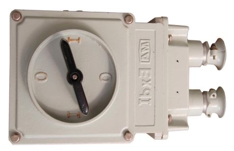 BHZ51 Διακόπτης ανθεκτικής έκρηξης 220VAC 10A-100A Στον τοίχο