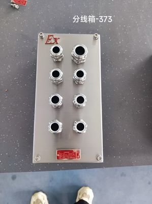 Προσαρμόσιμα ανθεκτικά σε έκρηξη καλώδια από ανοξείδωτο ανοξείδωτο 304