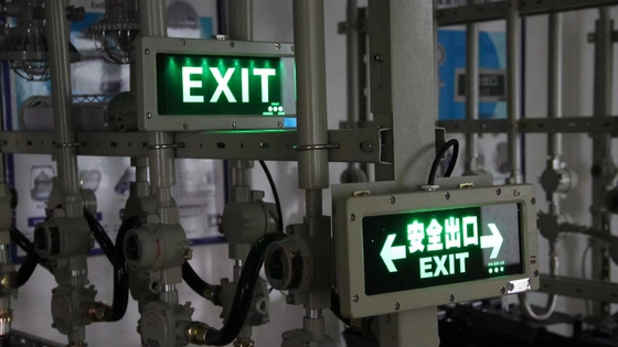 OEM Compact Explosion-proof Emergency Exit Lights   CRI ≥70, ATEX / IECEx / RoHS / CNEX / ISO9001 Πιστοποιημένο, προσαρμόσιμο σχεδιασμό για επικίνδυνες περιοχές