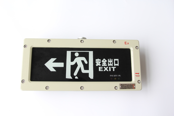 ExdeIICT6 Gb/Ex TD A21 IP66 T80C Φώτα έκτακτης ανάγκης ασφαλή από έκρηξη για σκληρές συνθήκες