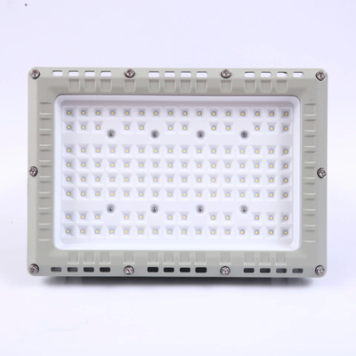 13kg IP66 LED φωτιστικό κατά πλημμύρας για ζώνη 1 2 21 22