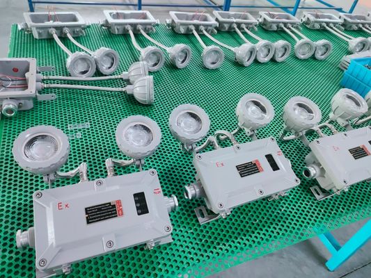 Aluminum tempered glass emergency light double point IP66 One-year warranty