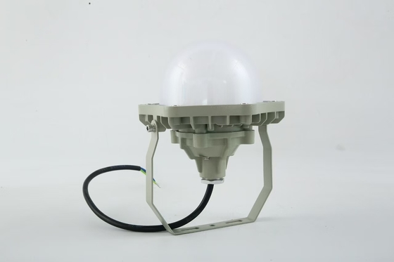 100W Αντιεκρήξεις High Bay Light AC220V 50/60Hz IP66 με 70±2CRI Νέο Σχεδιασμός Καλύτερα Πωλούμενα Προϊόντα Εργαστήριο τιμών