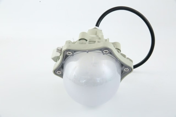 100W Αντιεκρήξεις High Bay Light AC220V 50/60Hz IP66 με 70±2CRI Νέο Σχεδιασμός Καλύτερα Πωλούμενα Προϊόντα Εργαστήριο τιμών