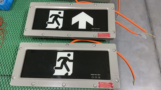 OEM εκρηκτικό φως LED εξόδου 24VDC / 36VDC / AC.