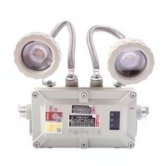 Δοκιμαστικό φως έκτακτης ανάγκης 2*3Watt LED 220VAC 24/36VDC για ζώνη 1 2