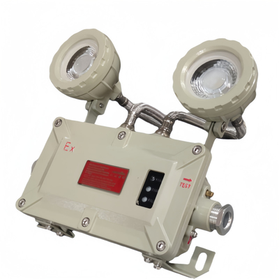 90-300VAC 24/36VDC Φωτιστικά Έξοδου Κινδύνου Ανθεκτικά σε Έκρηξη CRI Ra≥70 Ανθεκτικά στις καιρικές συνθήκες
