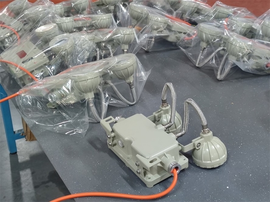 Ζώνη 1 Πυροσταθερό φως έκτακτης ανάγκης 2*5Watt Για θαλάσσιες εφαρμογές