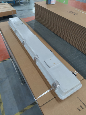 2*36W Φωτεινό φως προστασίας από έκρηξη IP66 WF2 Επίπεδο προστασίας IECEx Εγκεκριμένο για ζώνη1 2 ζώνη21 22 Επικίνδυνο περιβάλλον