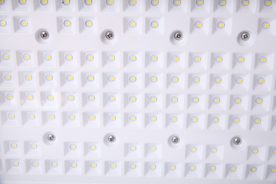 50240W Προσαρμόσιμο ανθεκτικό σε έκρηξη φως LED ∙ CREE Chips∙ ATEX πιστοποιημένο για επικίνδυνες περιοχές