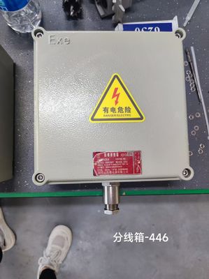 Προσαρμόσιμος Αντιεκρηκτικός Διακλαδωτικός Πίνακας Στεγανός στη Σκόνη WF2 για Ρυθμίσεις και Απόδοση Πελάτη