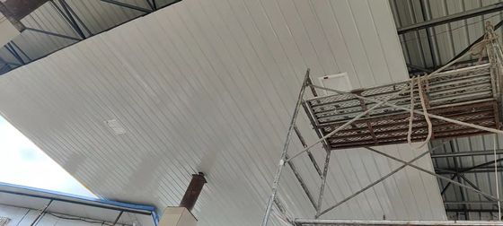 120° Ασφάλεια γωνίας δέσμης LED φωτεινό προβολέα για εφαρμογές βαριάς χρήσης