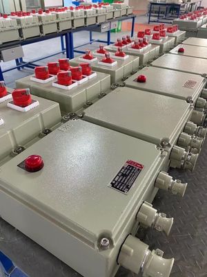 10A Αντικατάστατος σε έκρηξη διακόπτης 2 πόλων καλώδιο 9mm 13mm Κατάλληλο για εκρηκτικές ατμόσφαιρες και βιομηχανικά περιβάλλοντα