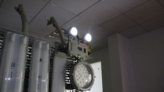 Φωτισμός LED Υψηλής Ποιότητας ATEX IP66 Φωτιστικό Έκτακτης Ανάγκης Επαναφορτιζόμενο Διπλό Φωτιστικό Κεφαλής Φωτιστικό Εξόδου Επικίνδυνες Ζώνες 1 και 2