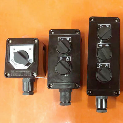 Αντιεκρηκτικός Απομονωτής Διακόπτης Αντιεκρηκτικός Εξοπλισμός Προσφορά Εισόδου Καλωδίου G12 Προστασία IP65 WF1 WF2 για Προστασία Κινδύνου